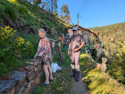 Frühjahr, Kräuterbeet, Goladinha, Portugal