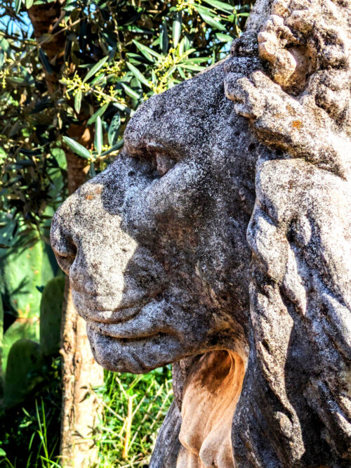 Löwe, Macht, Schutz, Mut, Goladinha, Portugal