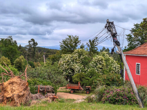 Figueiro dos Vinhos, Sturm, Sturmschäden, entwurzelte Bäume, umgeknickte Strommasten, Stromleitungen, Goladinha, Portugal